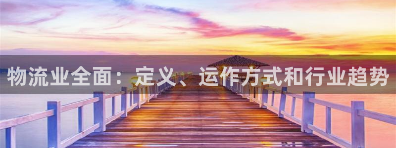 28圈麻将胡了：物流业全面：定义、运