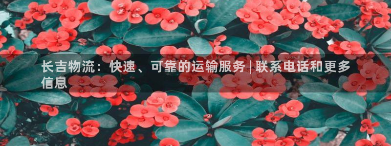 28圈加拿大是什么意思：长吉物流：快