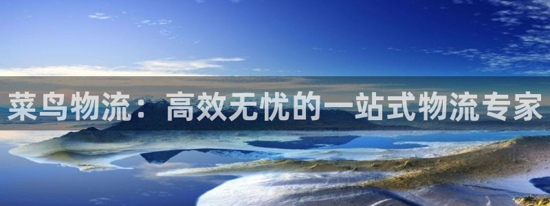 28圈注册流程：菜鸟物流：高效无忧的