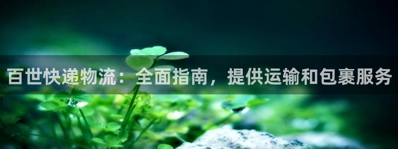 28圈注册教程：百世快递物流：全面指