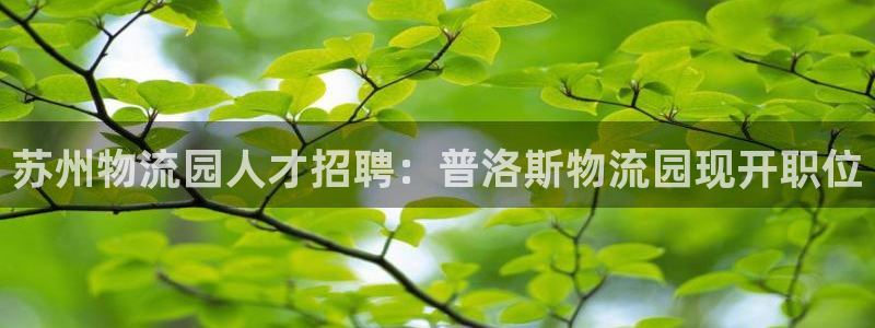 28圈官网链接：苏州物流园人才招聘：