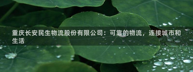 28圈怎么注册下载：重庆长安民生物流