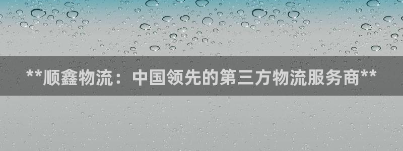 28圈是啥：**顺鑫物流：中国领先的