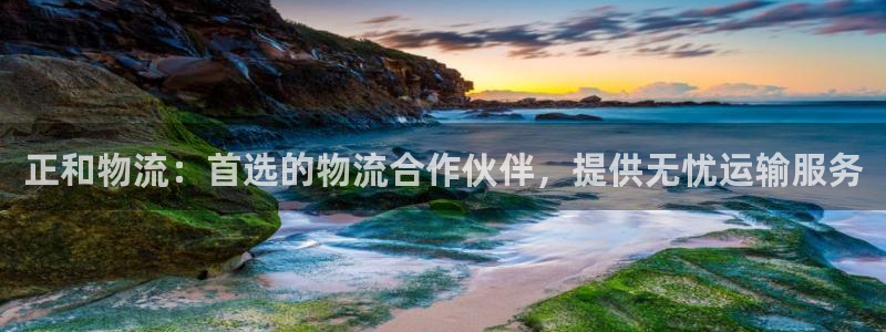 28圈玩法：正和物流：首选的物流合作