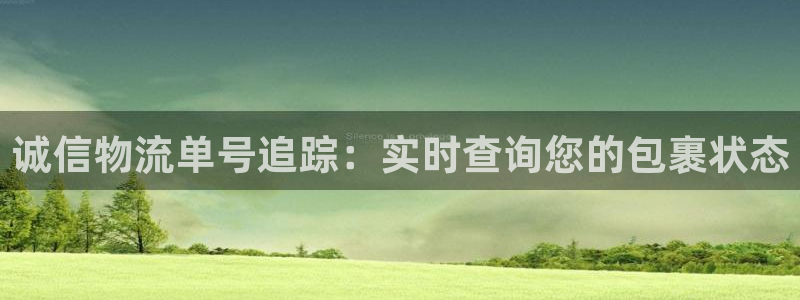 28圈预测：诚信物流单号追踪：实时查