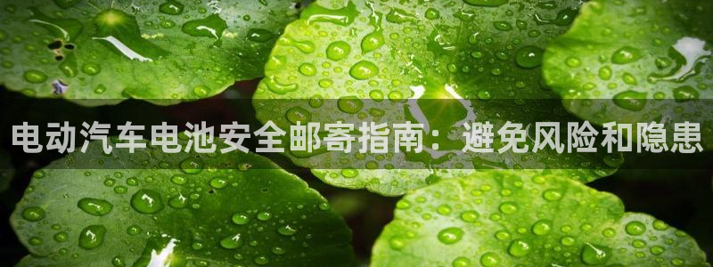 28圈游戏最新版